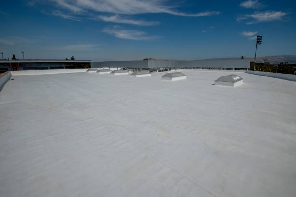Best Roofing for New Construction  in Parkers Prairie, MN